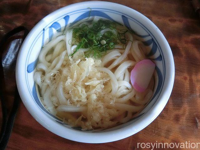 かず丸　かけうどん