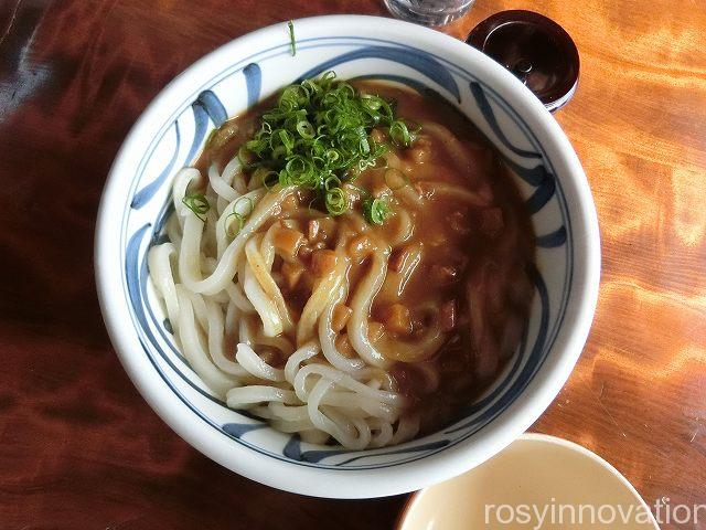 かず丸　カレーうどん