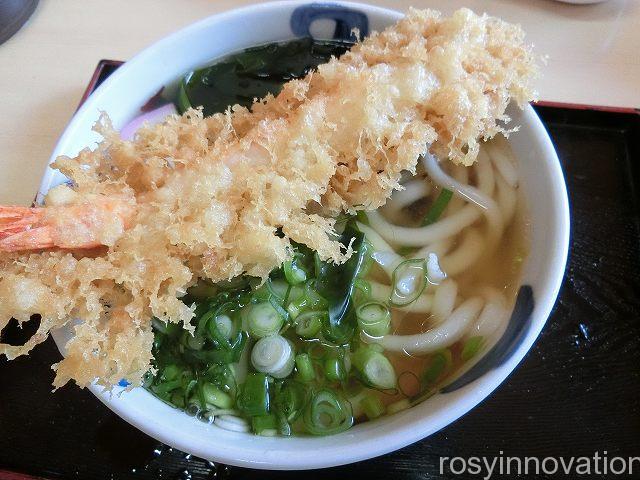 いしはるうどん　天ぷらうどん