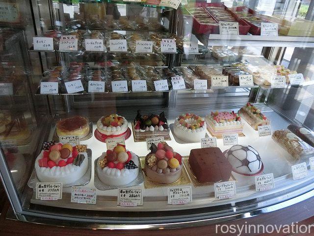 マカロン４　ショーケースー