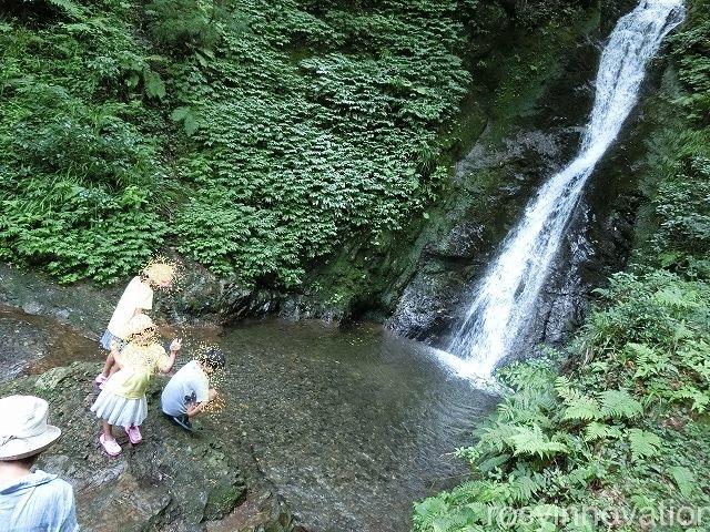 もみじ亭１６　滝