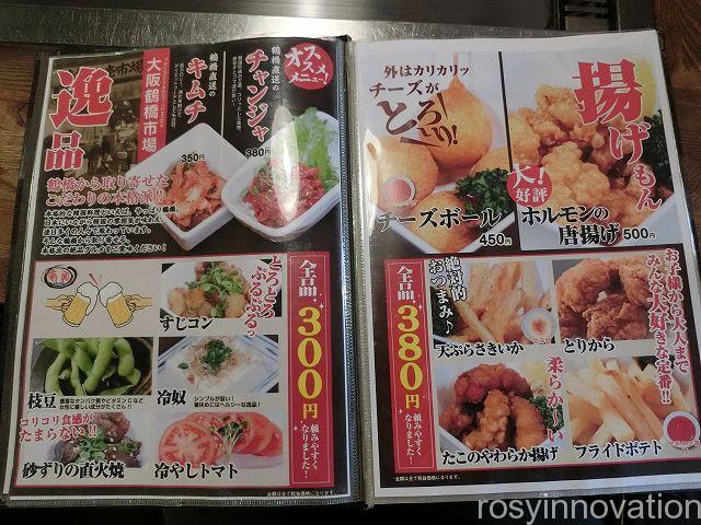 南風９　メニュー表