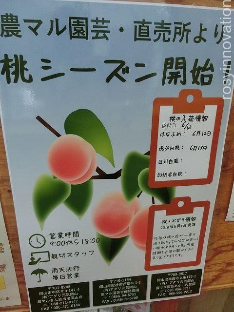 農園ビュッフェれんげ畑２０　桃直売所