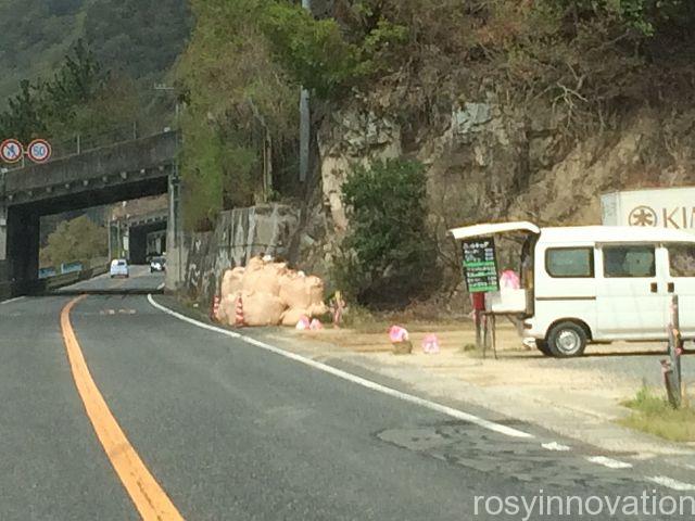総社ホットドッグ１　場所