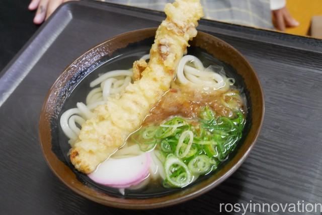 香川製麺てまり１０　素うどん