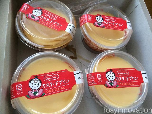 ドンレミー (22)