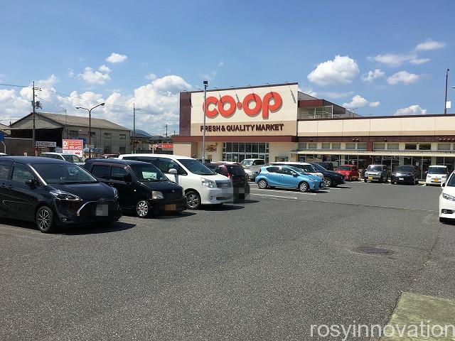 ステーキガスト総社店カットステーキ食べ放題 (13)